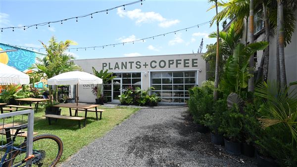 Eden Plant Co. (6/27/2023 - Credits: Houston Film Commission)