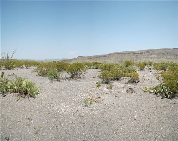 Big Bend Ranch State Park - Vista del Bofecillos (9/23/2010)