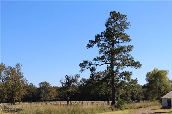 Hidden Meadows Ranch (7/6/2023 - Credits: Liza Clark)