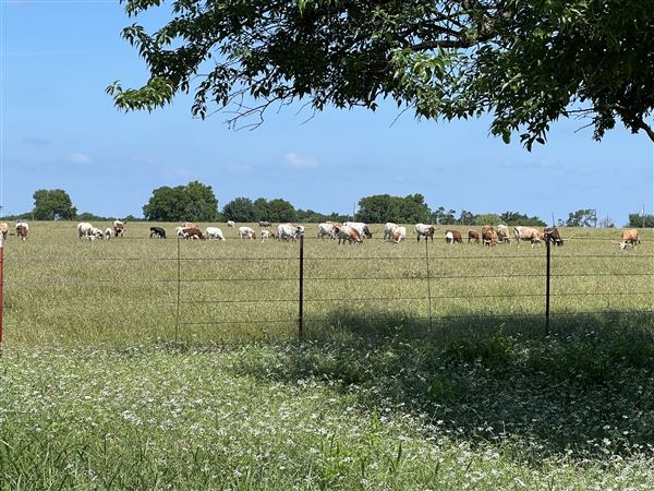 Original Old Celina Park (5/17/2023 - Credits: Melissa Thomas)