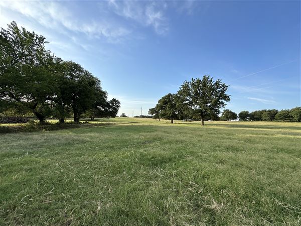 Fairlea Longhorn Ranch (7/20/2023 - Credits: K.Beck)
