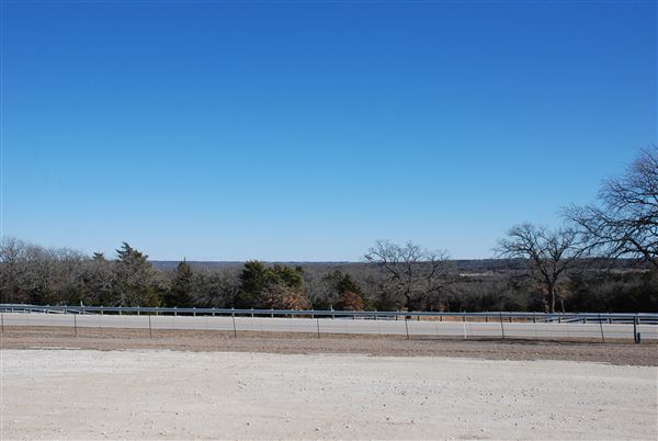 Blue Ostrich Winery & Vineyard (1/27/2023 - Credits: Gabriel Ornelas)