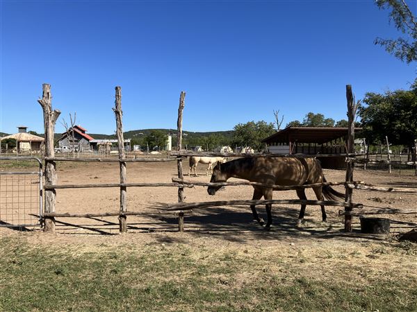 Montesino Ranch (10/18/2023)