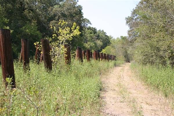 Mineola Nature Preserve (2/11/2009 - Credits: FFTX)