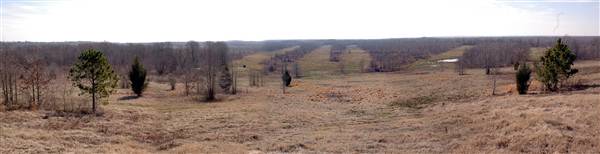 Mineola Nature Preserve (2/11/2009 - Credits: FFTX)