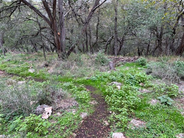 Panther Canyon Nature Trail (3/28/2024 - Credits: Chad Donegan)