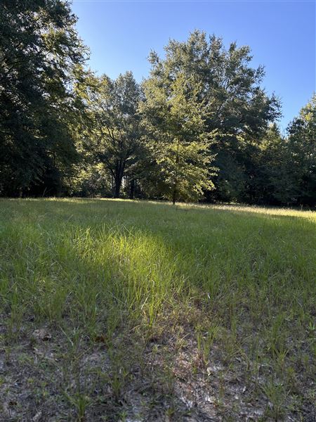 Flournoy Farm (9/24/2024 - Credits: submitted by: Sue Wisdom)