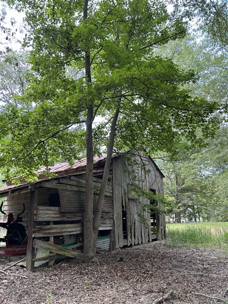 Flournoy Farm (9/24/2024 - Credits: submitted by: Sue Wisdom)