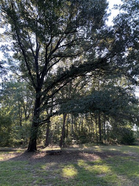 Flournoy Farm (9/24/2024 - Credits: submitted by: Sue Wisdom)