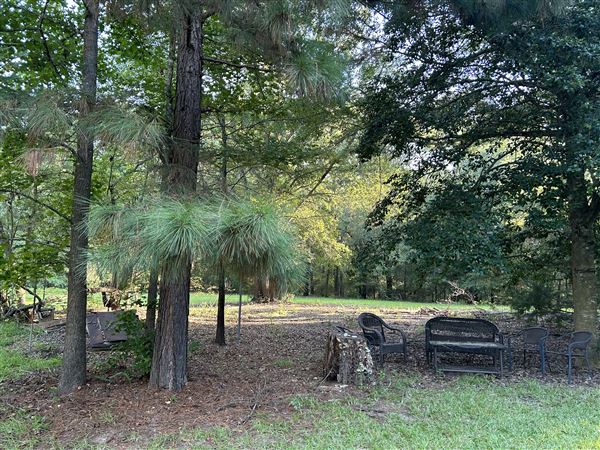 Flournoy Farm (9/24/2024 - Credits: submitted by: Sue Wisdom)