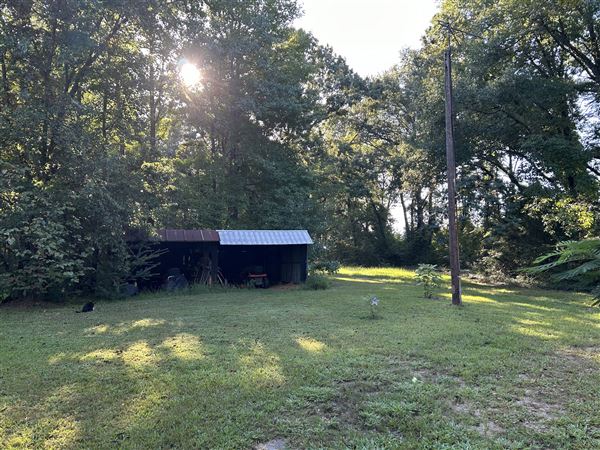 Flournoy Farm (9/24/2024 - Credits: submitted by: Sue Wisdom)