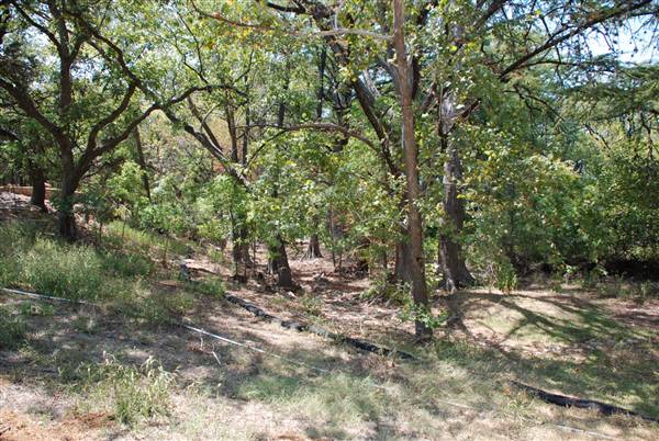 Blue Hole Regional Park (9/14/2011)