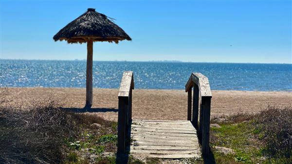Rockport Beach Park (2/25/2025 - Credits: submitted by: Jennifer Day)