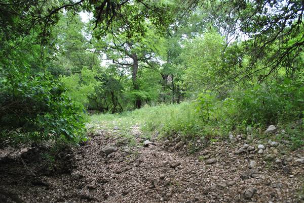 Phil Hardberger Park (4/7/2012)