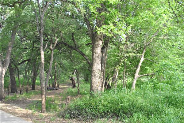 Phil Hardberger Park (4/7/2012)
