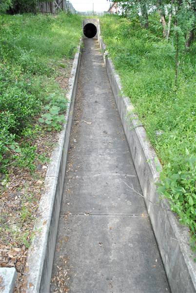 Phil Hardberger Park (4/7/2012)