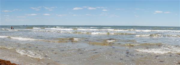 Stewart Beach (4/19/2012)