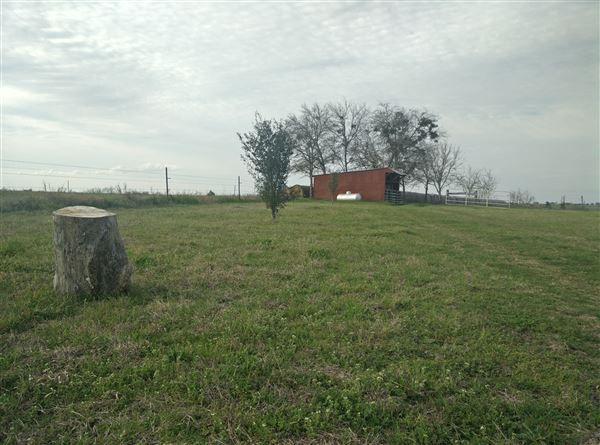 Maeshill Farm (11/25/2025 - Credits: Ann Campbell)
