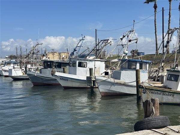 Port Lavaca City Harbor (3/1/2026 - Credits: Tania French)