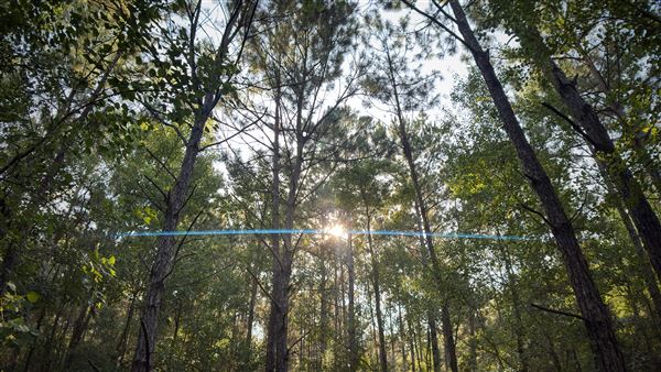 The Oaks of Anahuac (9/12/2025 - Credits: Houston Film Commission)