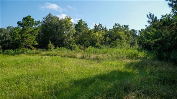 The Oaks of Anahuac (9/12/2025 - Credits: Houston Film Commission)