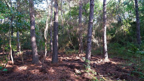 The Oaks of Anahuac (9/12/2025 - Credits: Houston Film Commission)