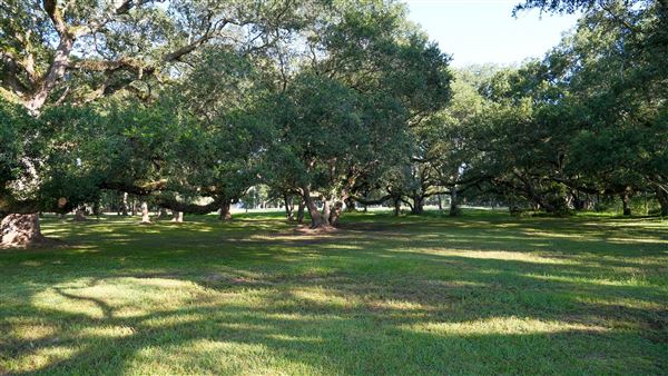 The Oaks of Anahuac (9/12/2025 - Credits: Houston Film Commission)