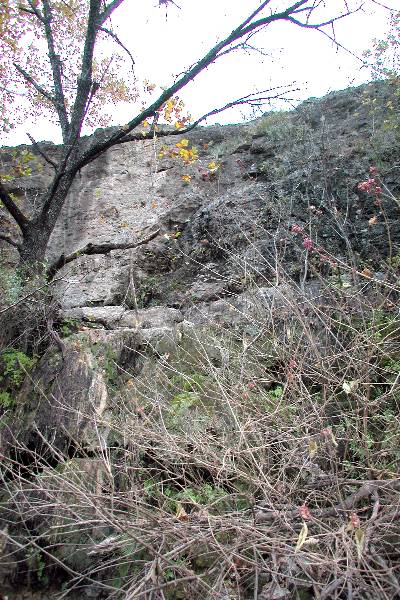 Milton Reimers Ranch County Park (11/29/2004)