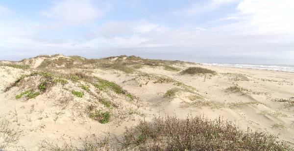 Boca Chica Beach & Dunes (3/2/2005)