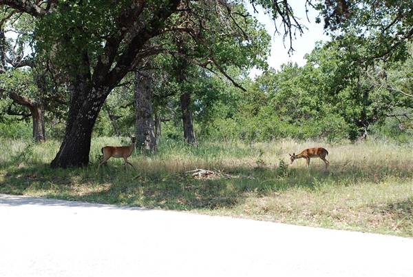 Gloster Bend Recreation Area (5/21/2012)