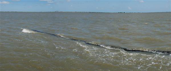 Palacios Seawall (5/30/2012)