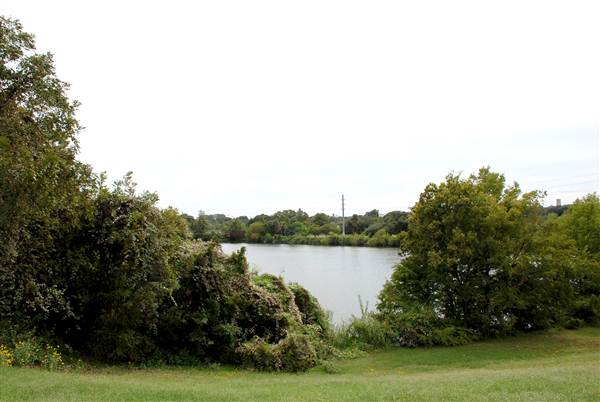 Fiesta Gardens (10/16/2012)