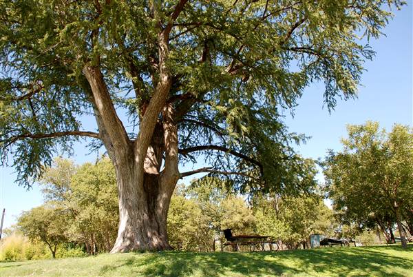 Bandera City Park (10/8/2012)