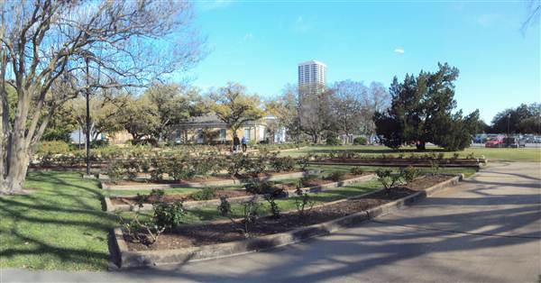 Houston Garden Center (3/7/2013)