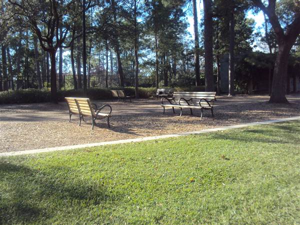 Hermann Park (3/7/2013)