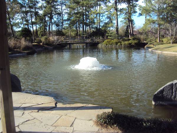 Japanese Garden in Hermann Park (3/7/2013)
