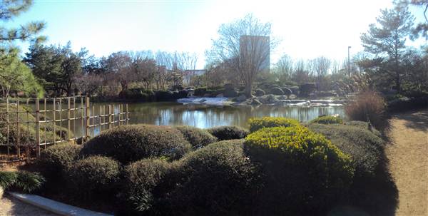 Japanese Garden in Hermann Park (3/7/2013)