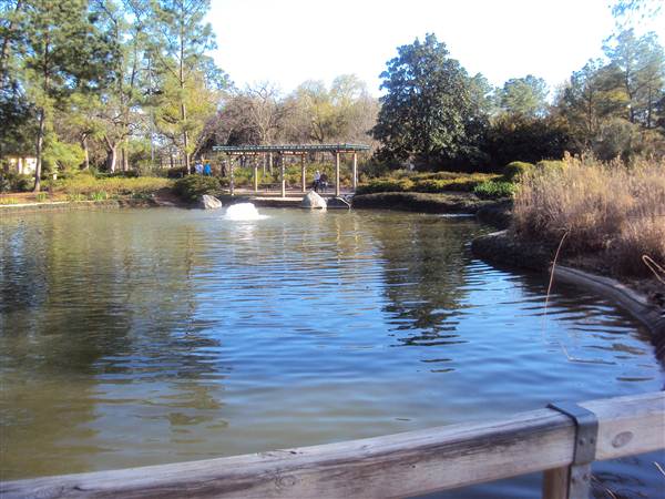 Japanese Garden in Hermann Park (3/7/2013)