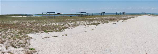 Matagorda Island (4/4/2013)