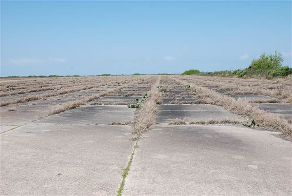 Matagorda Island (4/4/2013)
