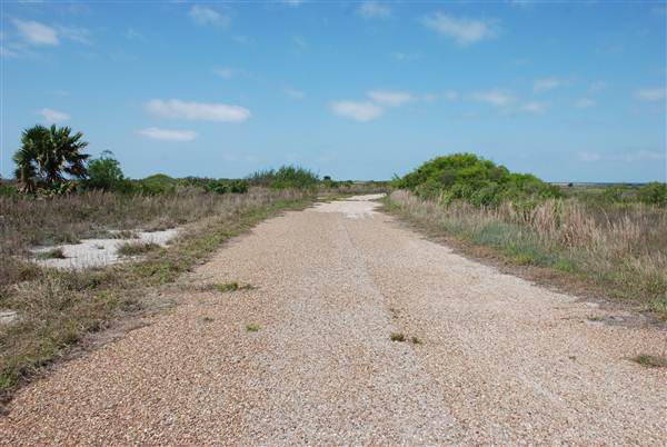 Matagorda Island (4/4/2013)