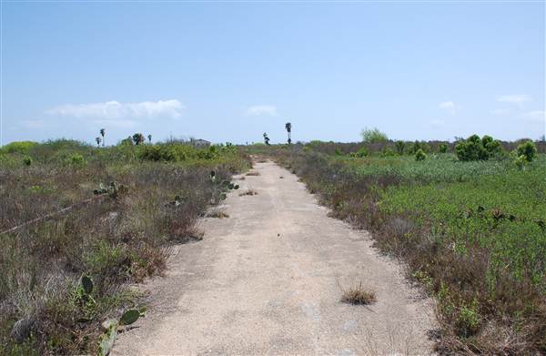 Matagorda Island (4/4/2013)