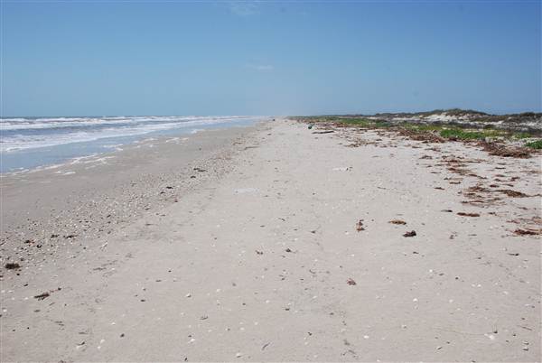 Matagorda Island (4/4/2013)