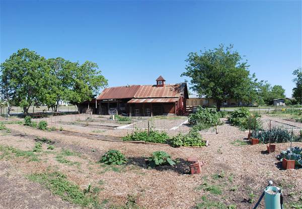 Peterson Community Garden (5/13/2013)