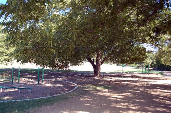 Big Stacy Park (9/26/2013)