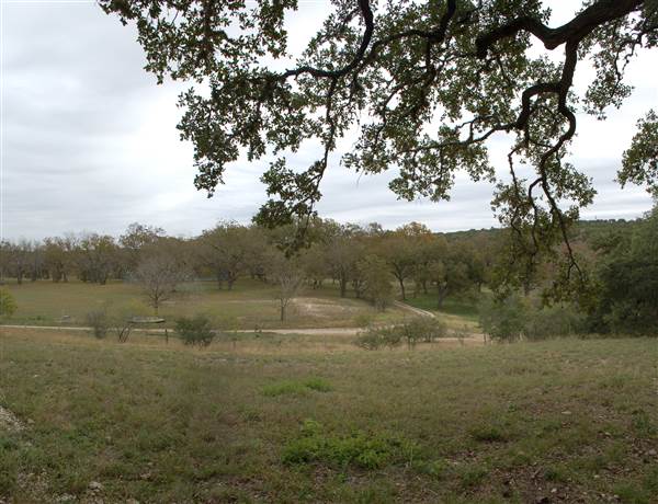 Old Glory Ranch (11/13/2014)