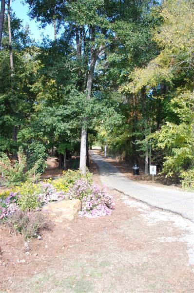 Gayla Mize Garden (11/11/2014)