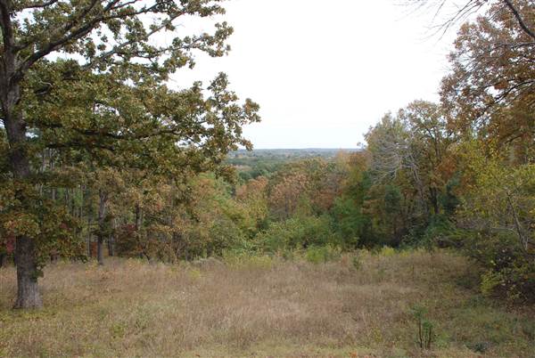 Davey Dogwood Park (11/13/2014)