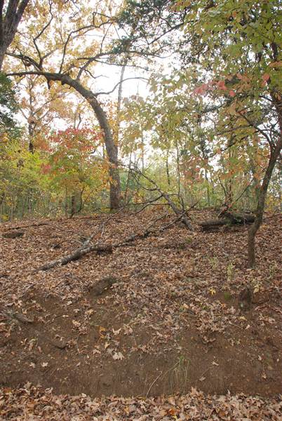Davey Dogwood Park (11/13/2014)