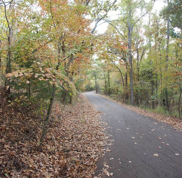Davey Dogwood Park (11/13/2014)